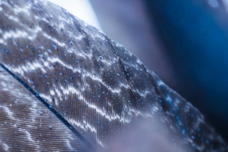 6 innovations qui pourraient révolutionner le secteur du textile intelligent